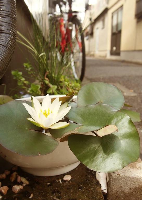 Love Kyoto Kyoenkan الغرفة الصورة